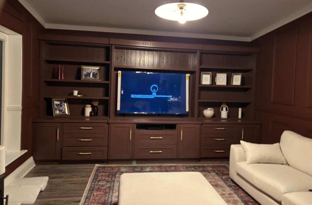 TV Display unit